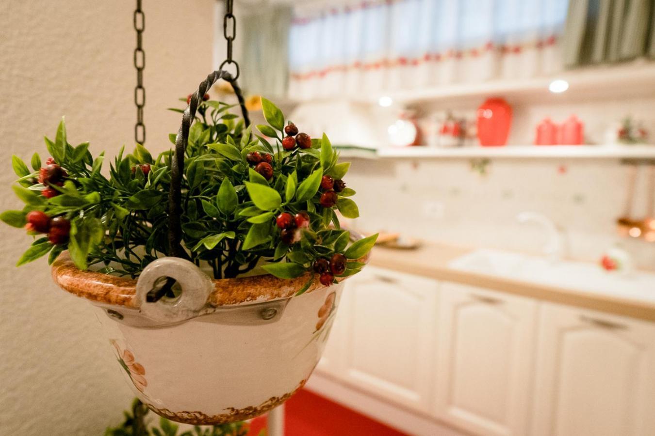 Appartamento Il Papavero Rosso Grosseto Kültér fotó